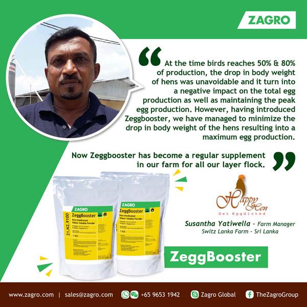 ZeggBooster